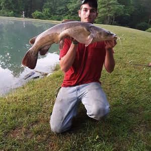 Meet your Posher, Jeffery